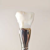Skin Brush de Ella Park — herramienta facial para limpieza profunda y exfoliación con crema,